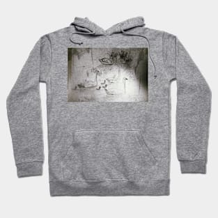 Swans study Hoodie